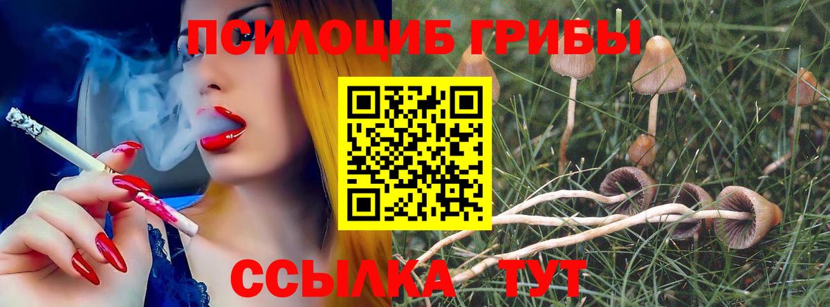 Галлюциногенные грибы Cubensis Апатиты